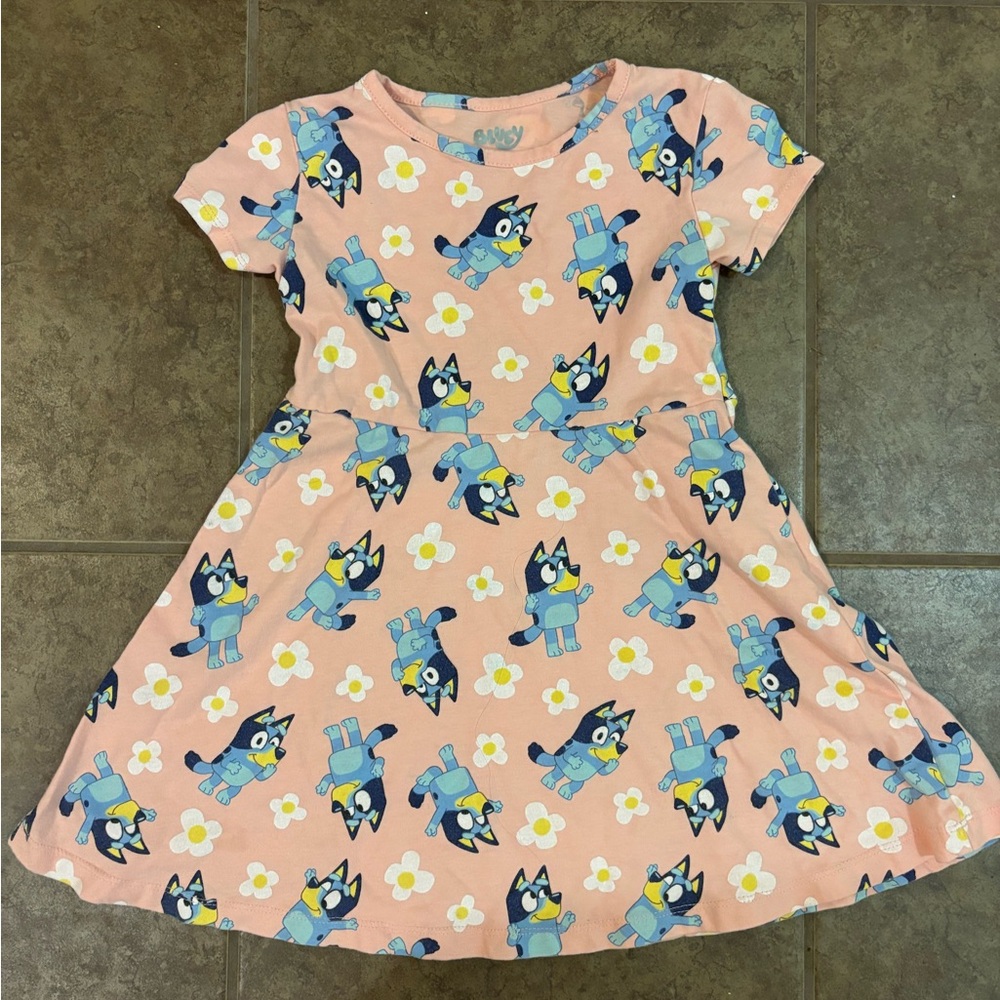 Kids Pink Dress with Bluey Print